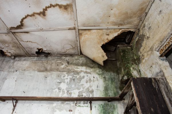 Water Damage Service in Indio