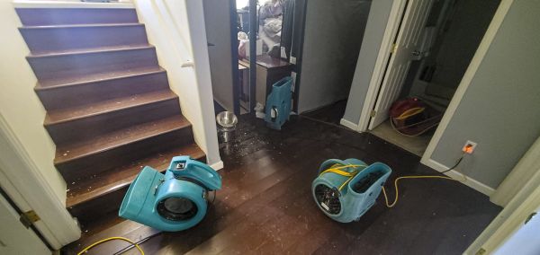 Water Damage Remediation in Indio