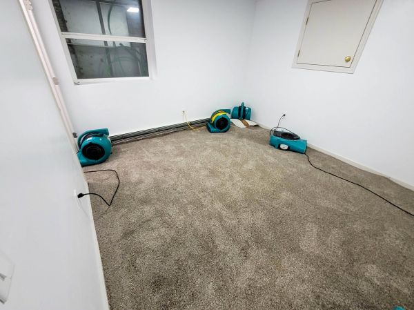 Flood Restoration Service in Indio