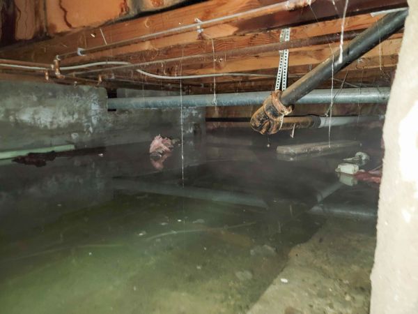 Cost of Water Mitigation Service in Indio