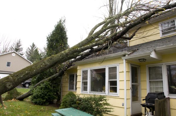 Hurricane Damage Repair in Indio